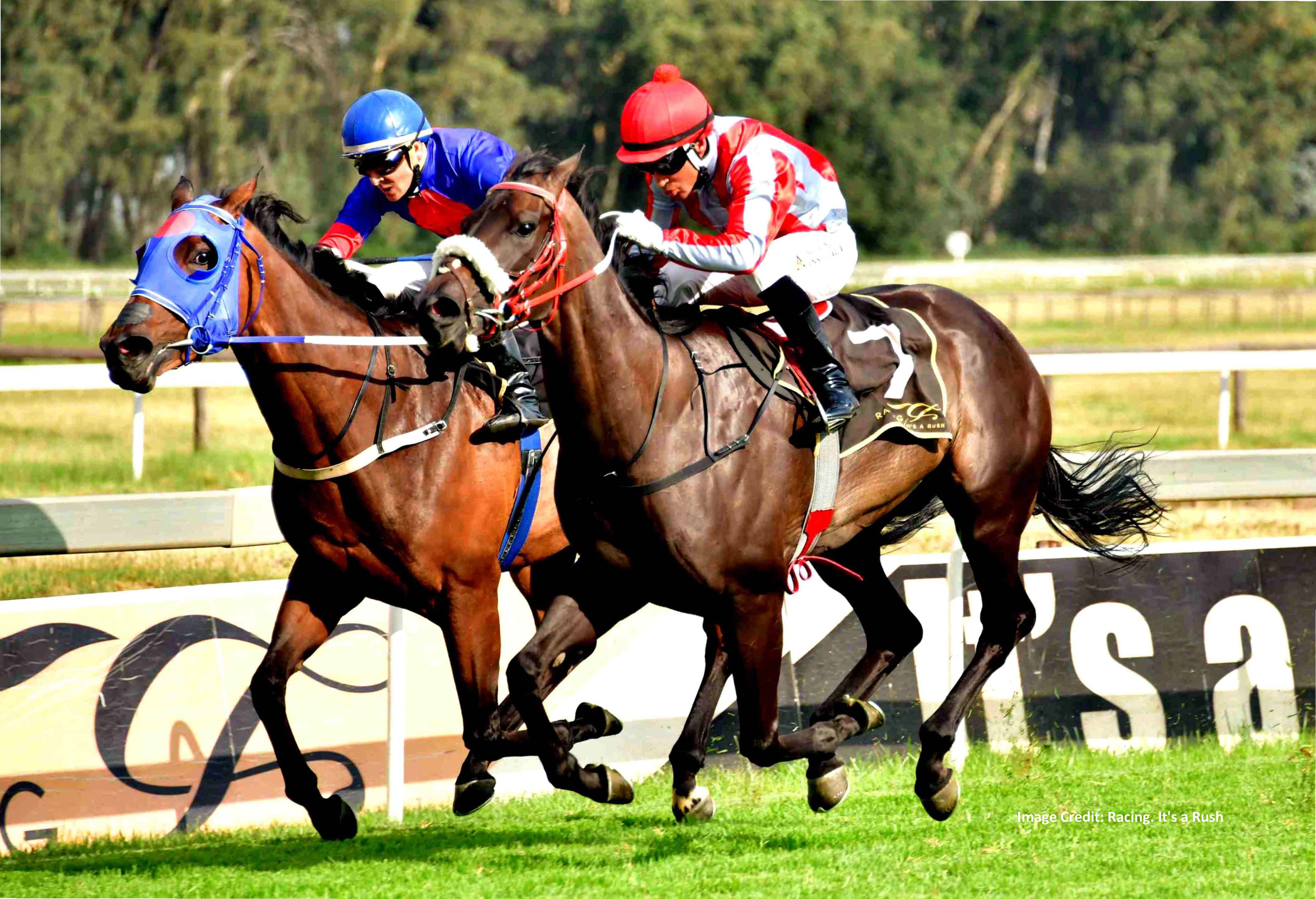 The National Horseracing Authority of Southern Africa, South Africa